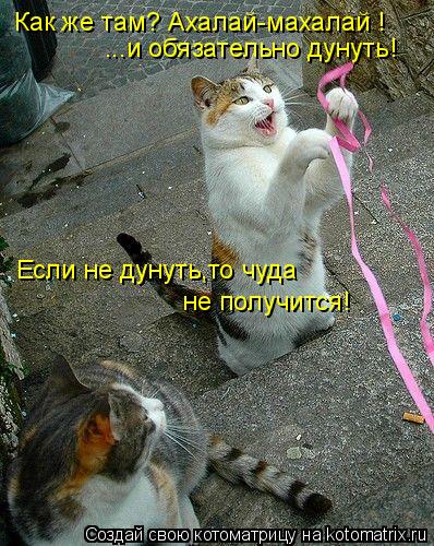Котоматрица: Как же там? Ахалай-махалай ! ...и обязательно дунуть! Если не дунуть,то чуда не получится!