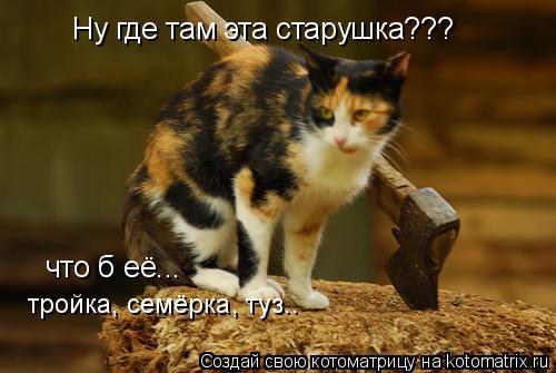 Котоматрица: Ну где там эта старушка??? что б её... тройка, семёрка, туз..