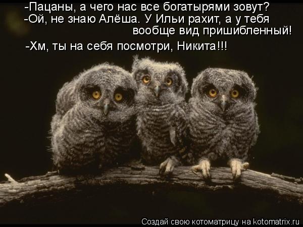 Котоматрица: -Пацаны, а чего нас все богатырями зовут? -Ой, не знаю Алёша. У Ильи рахит, а у тебя вообще вид пришибленный! -Хм, ты на себя посмотри, Никита!!!