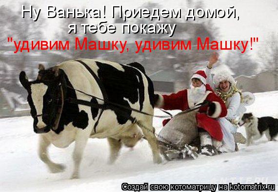 Котоматрица: Ну Ванька! Приедем домой, я тебе покажу "удивим Машку, удивим Машку!"