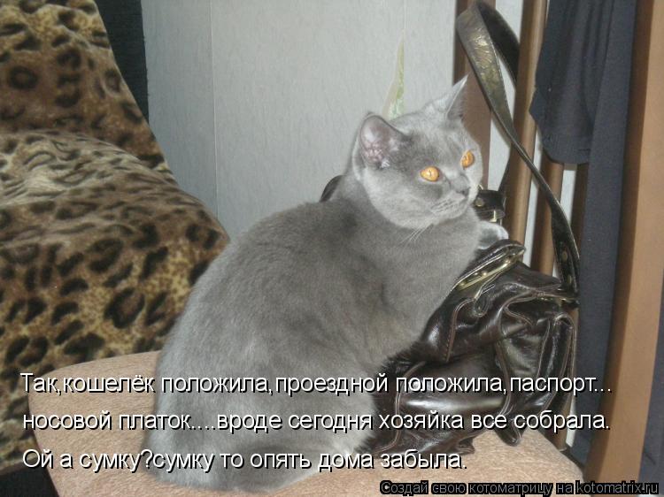 Так,кошелёк положила,проездной положила,паспорт... Ой а сумку?сумку то опять дома забыла. носовой пла... Котоматрица: Так,кошелёк положила,проездной положила,паспорт... Ой а сумку?сумку то опять дома забыла. носовой платок....вроде сегодня хозяйка все собрала