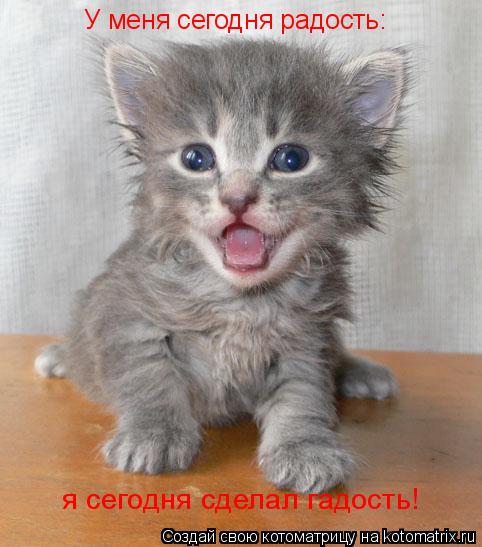 Как сделать кому-то гадость Как сделать кому-то гадость