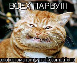 Котоматрица: ВСЕХ ПАРВУ!!!