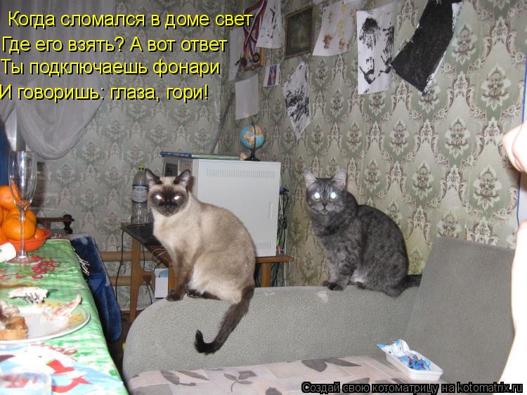 Котоматрица: Когда сломался в доме свет Где его взять? А вот ответ Ты подключаешь фонари И говоришь: глаза, гори!