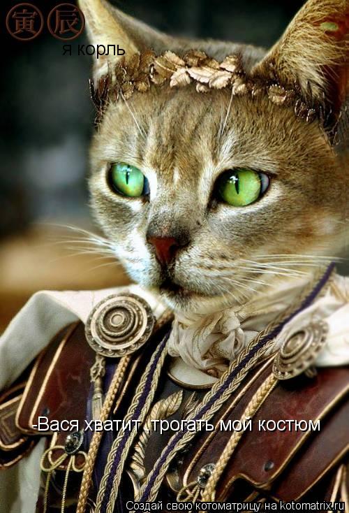 Котоматрица: я корль  -Вася хватит ,трогать мой костюм