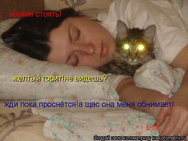 Котоматрица: хозяин стоять! жёлтый горит!не видешь? жди пока проснётся!а щас она меня обнимает!