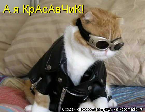 Котоматрица: А я КрАсАвЧиК!