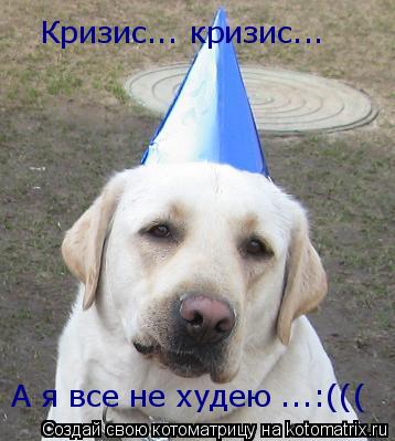 Котоматрица: Кризис... кризис... А я все не худею ...:(((