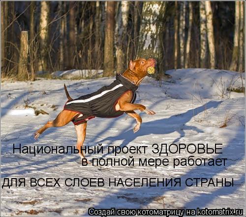 Котоматрица: Национальный проект ЗДОРОВЬЕ в полной мере работает  ДЛЯ ВСЕХ СЛОЕВ НАСЕЛЕНИЯ СТРАНЫ