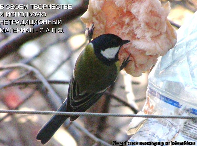 Котоматрица: В СВОЕМ ТВОРЧЕСТВЕ Я ИСПОЛЬЗУЮ НЕТРАДИЦИОННЫЙ  МАТЕРИАЛ - С А Л О.