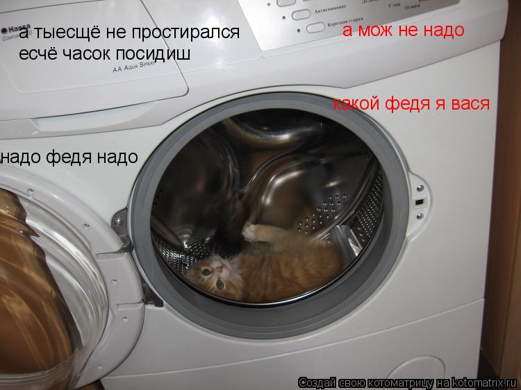 Котоматрица: а тыесщё не простирался  есчё часок посидиш  а мож не надо надо федя надо какой федя я вася