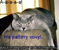 Котоматрица: А-а-а-а-а! На работу хочу!..