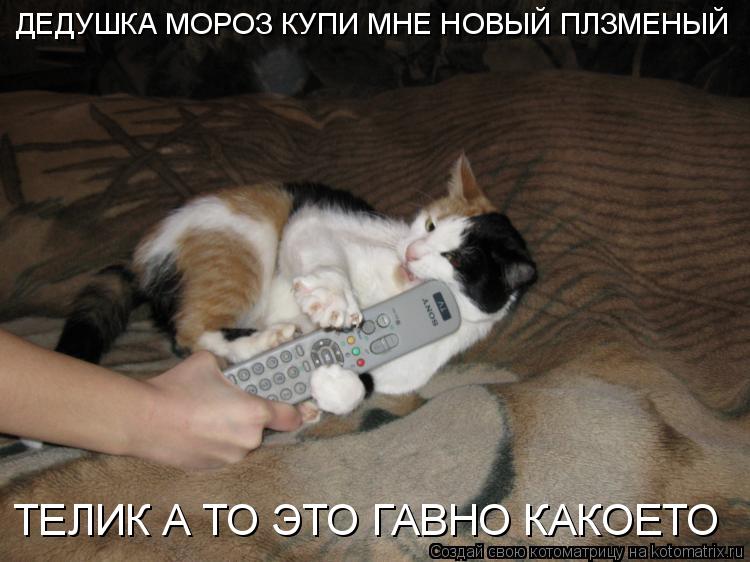 Котоматрица: ДЕДУШКА МОРОЗ КУПИ МНЕ НОВЫЙ ПЛЗМЕНЫЙ  ТЕЛИК А ТО ЭТО ГАВНО КАКОЕТО