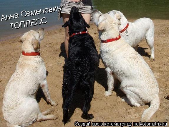 Анна Семенович ТОПЛЕСС... Котоматрица: Анна Семенович ТОПЛЕСС