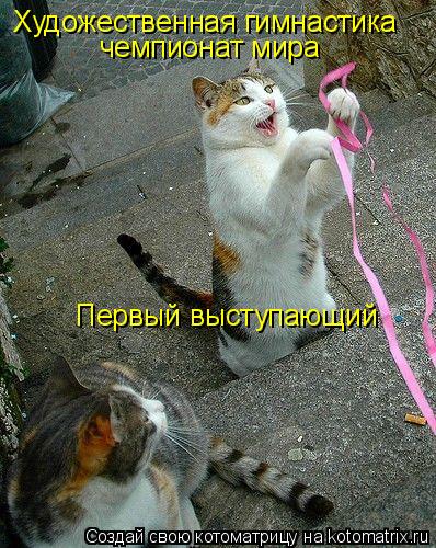 Котоматрица: Художественная гимнастика чемпионат мира Первый выступающий