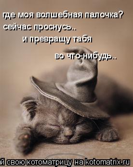 Котоматрица: где моя волшебная палочка? сейчас проснусь.. и превращу табя  во что-нибудь..