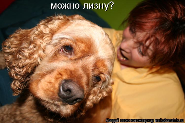Котоматрица: можно лизну?
