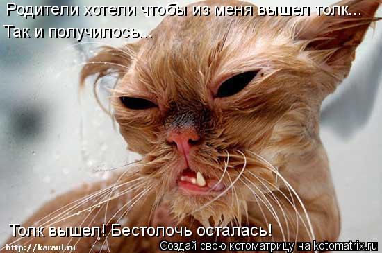 Родители хотели чтобы из меня вышел толк... Так и получилось... Толк вышел! Бестолочь осталась!... Котоматрица: Родители хотели чтобы из меня вышел толк... Так и получилось... Толк вышел! Бестолочь осталась!