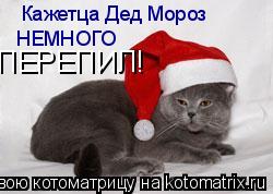 Кажетца Дед Мороз НЕМНОГО ПЕРЕПИЛ!... Котоматрица: Кажетца Дед Мороз НЕМНОГО ПЕРЕПИЛ!