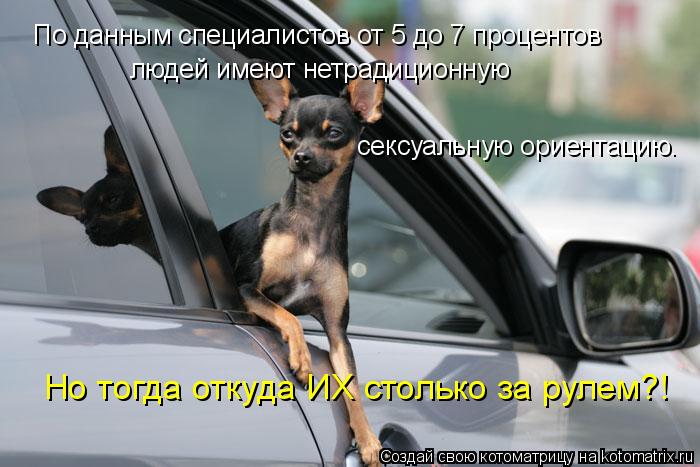 По данным специалистов от 5 до 7 процентов людей имеют нетрадиционную сексуальную ориентацию. Но тогд... Котоматрица: По данным специалистов от 5 до 7 процентов людей имеют нетрадиционную сексуальную ориентацию. Но тогда откуда ИХ столько за рулем?!