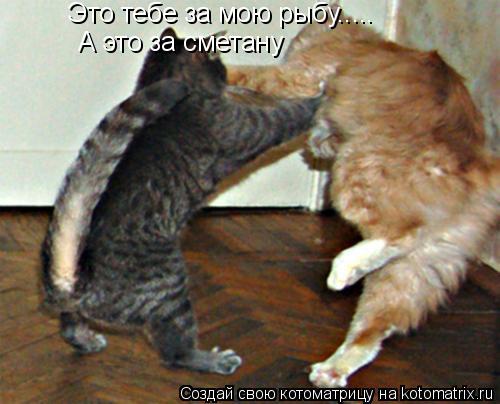 Это тебе за мою рыбу..... А это за сметану... Котоматрица: Это тебе за мою рыбу..... А это за сметану