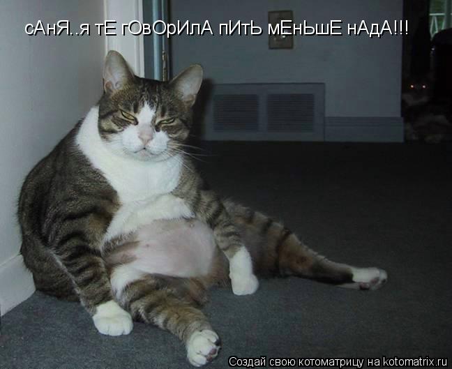 Котоматрица: сАнЯ..я тЕ гОвОрИлА пИтЬ мЕнЬшЕ нАдА!!!