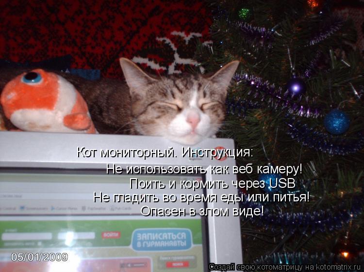 Котоматрица: Кот мониторный. Инструкция: Не использовать как веб камеру! Поить и кормить через USB Не гладить во время еды или питья! Опасен в злом виде!