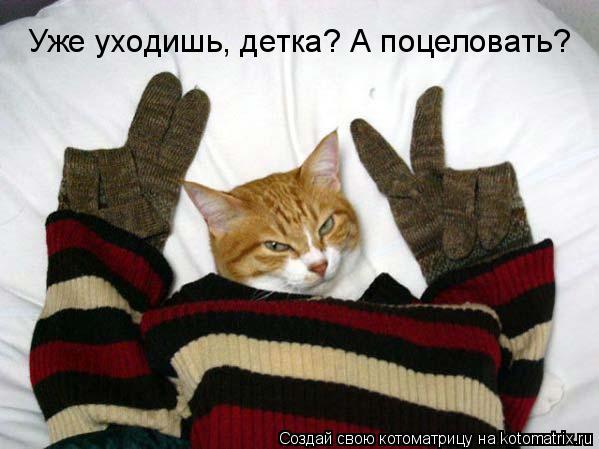 Котоматрица: Уже уходишь, детка? А поцеловать?