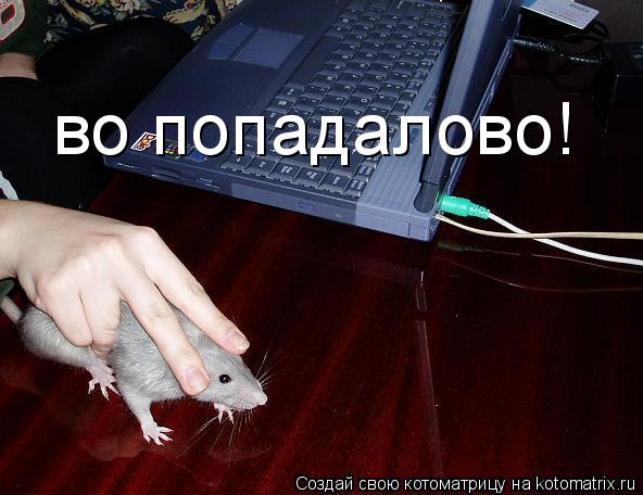 Котоматрица: во попадалово!