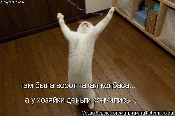 Котоматрица: там была вооот такая колбаса... а у хозяйки деньги кончились...