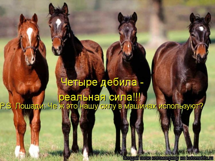 Четыре дебила - реальная сила!!! P.S. Лошади: Че ж это нашу силу в машинах используют?... Котоматрица: Четыре дебила - реальная сила!!! P.S. Лошади: Че ж это нашу силу в машинах используют?