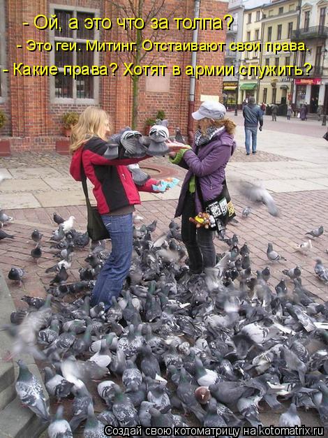 - Ой, а это что за толпа? - Это геи. Митинг. Отстаивают свои права. - Какие права? Хотят в армии служ... Котоматрица: - Ой, а это что за толпа? - Это геи. Митинг. Отстаивают свои права. - Какие права? Хотят в армии служить?