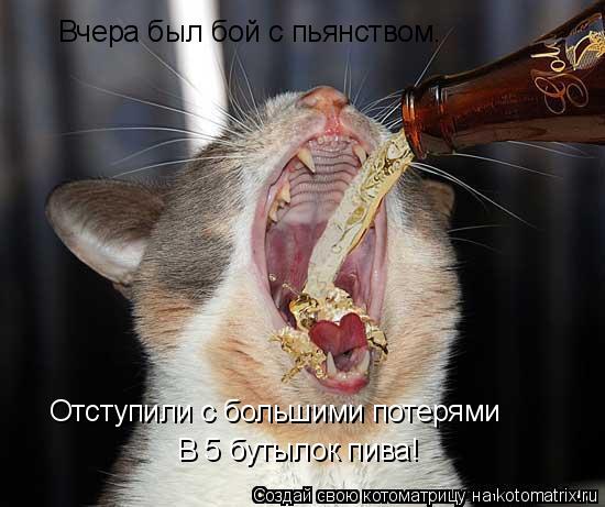 Котоматрица: Вчера был бой с пьянством. Отступили с большими потерями В 5 бутылок пива!