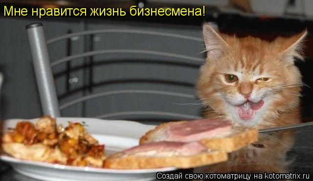 Мне нравится жизнь бизнесмена!... Котоматрица: Мне нравится жизнь бизнесмена!