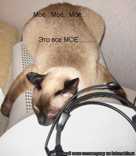 Моё...Моё...Моё... Это все МОЕ............. Котоматрица: Моё...Моё...Моё... Это все МОЕ..........