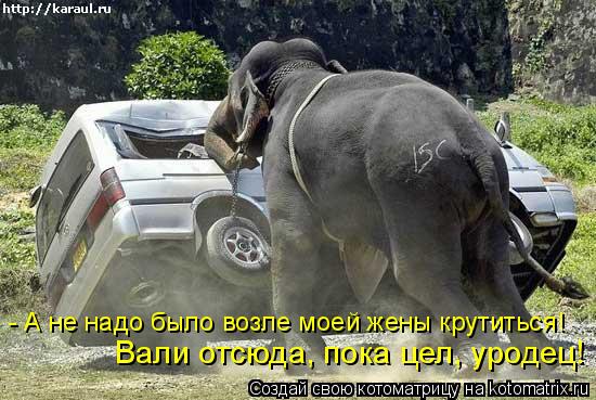 Вали отсюда, пока цел, уродец! - А не надо было возле моей жены крутиться!... Котоматрица: Вали отсюда, пока цел, уродец! - А не надо было возле моей жены крутиться!