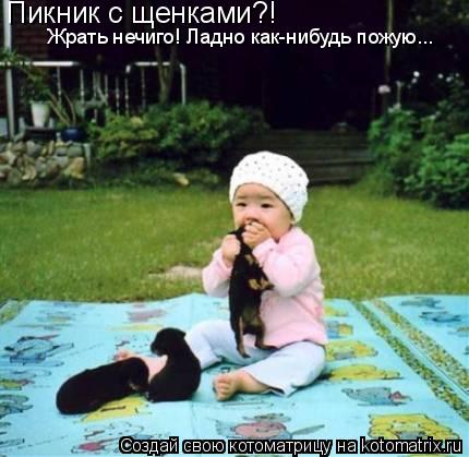 Пикник с щенками?! Жрать нечиго! Ладно как-нибудь пожую...... Котоматрица: Пикник с щенками?! Жрать нечиго! Ладно как-нибудь пожую...