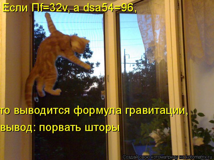 Котоматрица: Если G Если Пf=32v, а dsa54=96, то выводится формула гравитации, вывод: порвать шторы