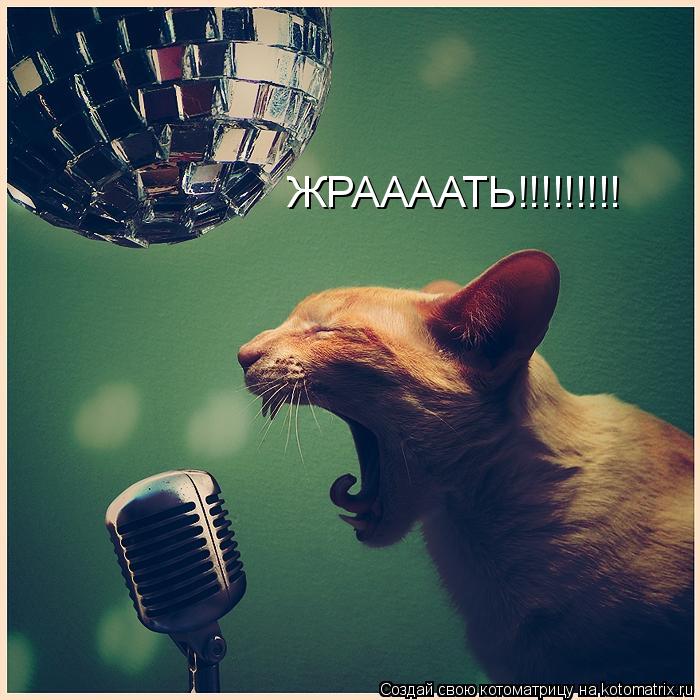 Котоматрица: ЖРААААТЬ!!!!!!!!!