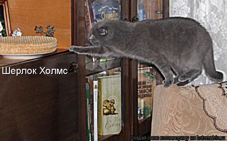 Котоматрица: Шерлок Холмс
