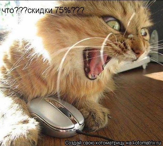 что???скидки 75%???... Котоматрица: что???скидки 75%???