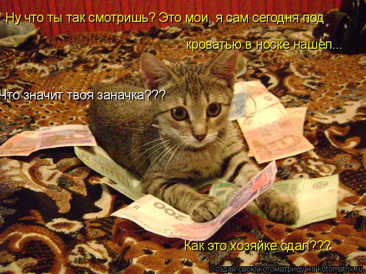 Котоматрица: Ну что ты так смотришь? Это мои, я сам сегодня под  кроватью в носке нашел... Что значит твоя заначка??? Как это хозяйке сдал???