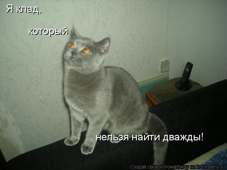 Котоматрица: Я клад, который  нельзя найти дважды!