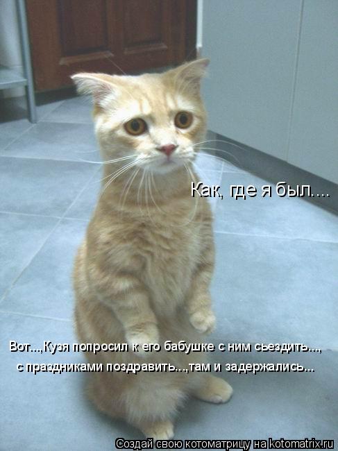 Котоматрица: Как, где я был.... Вот...,Кузя попросил к его бабушке с ним сьездить..., с праздниками поздравить...,там и задержались...