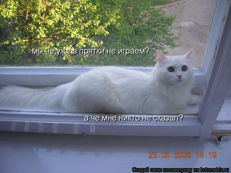 мы че уже в прятки не играем? а че мне никто не сказал?... Котоматрица: мы че уже в прятки не играем? а че мне никто не сказал?