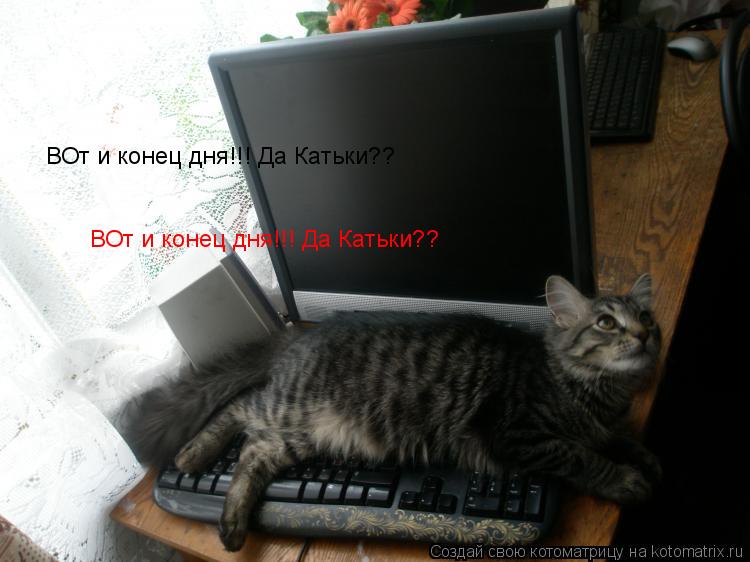 Котоматрица: ВОт и конец дня!!! Да Катьки?? ВОт и конец дня!!! Да Катьки??