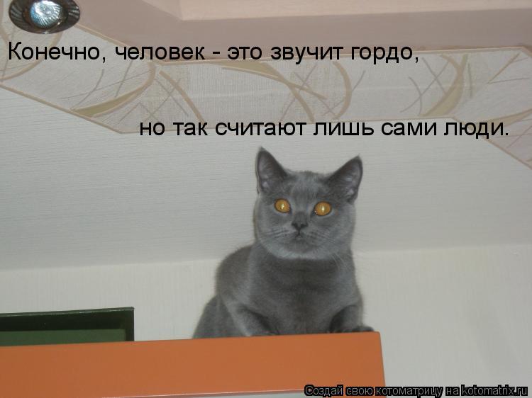 Конечно, человек - это звучит гордо, но так считают лишь сами люди.... Котоматрица: Конечно, человек - это звучит гордо, но так считают лишь сами люди.