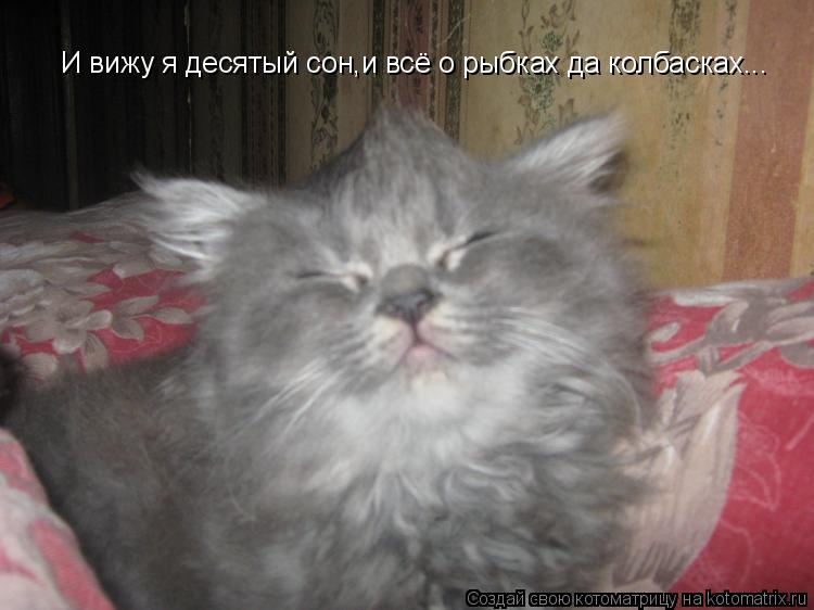 И вижу я десятый сон,и всё о рыбках да колбасках...... Котоматрица: И вижу я десятый сон,и всё о рыбках да колбасках...
