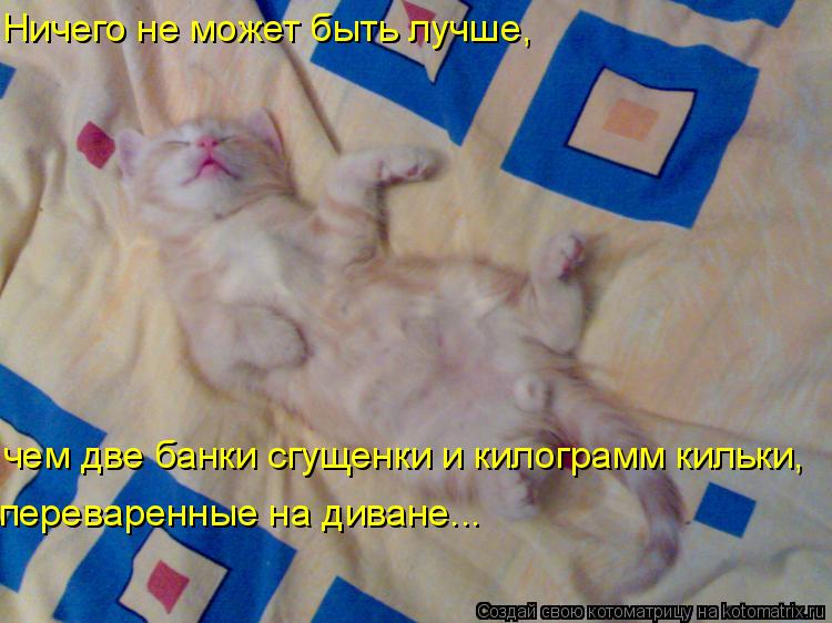 Котоматрица: Ничего не может быть лучше, чем две банки сгущенки и килограмм кильки, переваренные на диване...