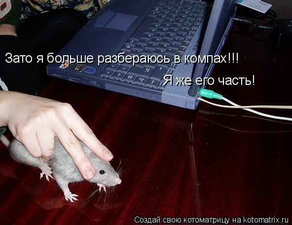 Зато я больше разбераюсь в компах!!! Я же его часть!... Котоматрица: Зато я больше разбераюсь в компах!!! Я же его часть!